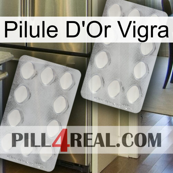 Vigra Gold Pill 17